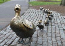 Mallards sculpture by Nancy Schon
