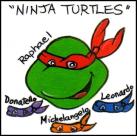 Ninja Turtles - face painting image